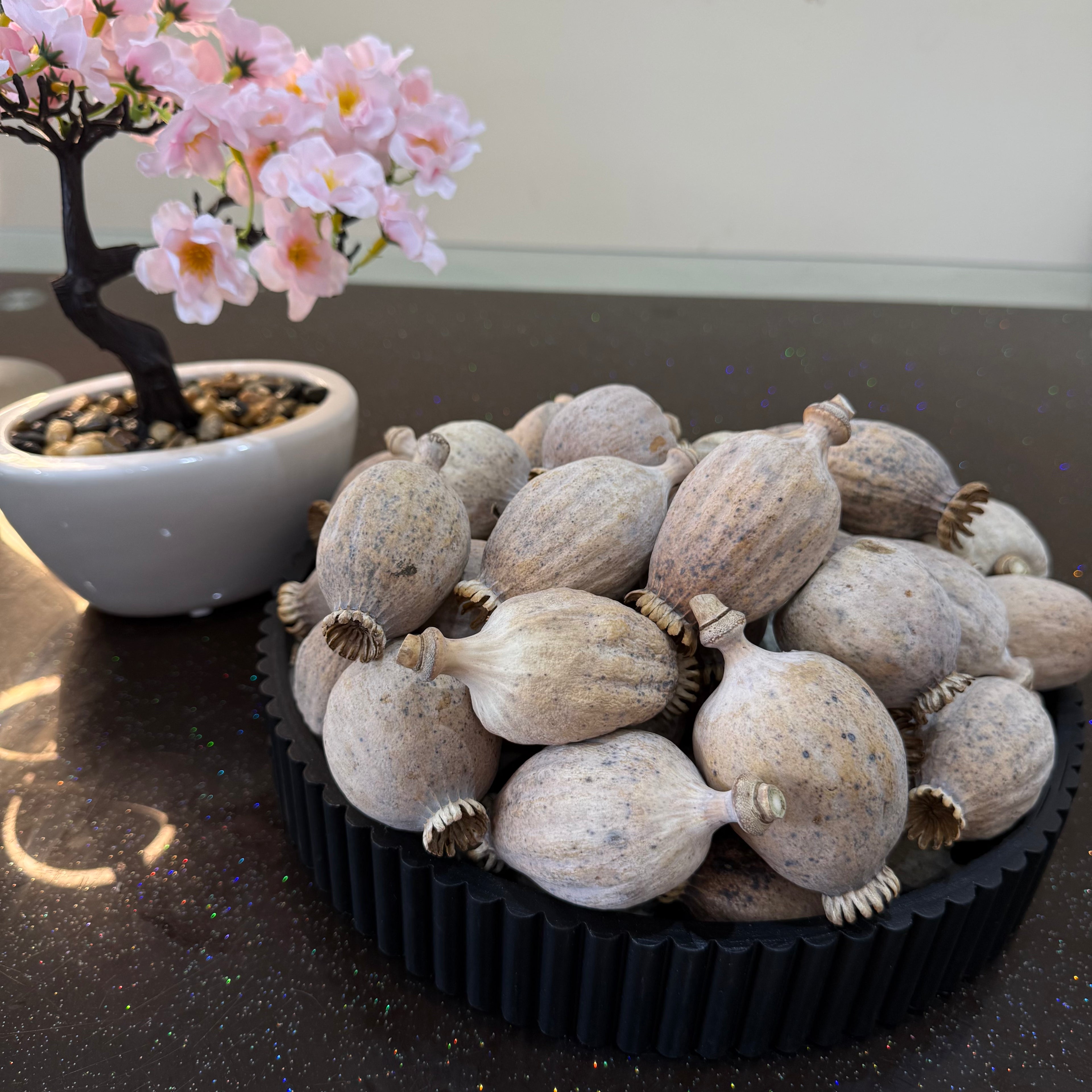 British Dried Poppy Heads (Seeded Pods) XXL