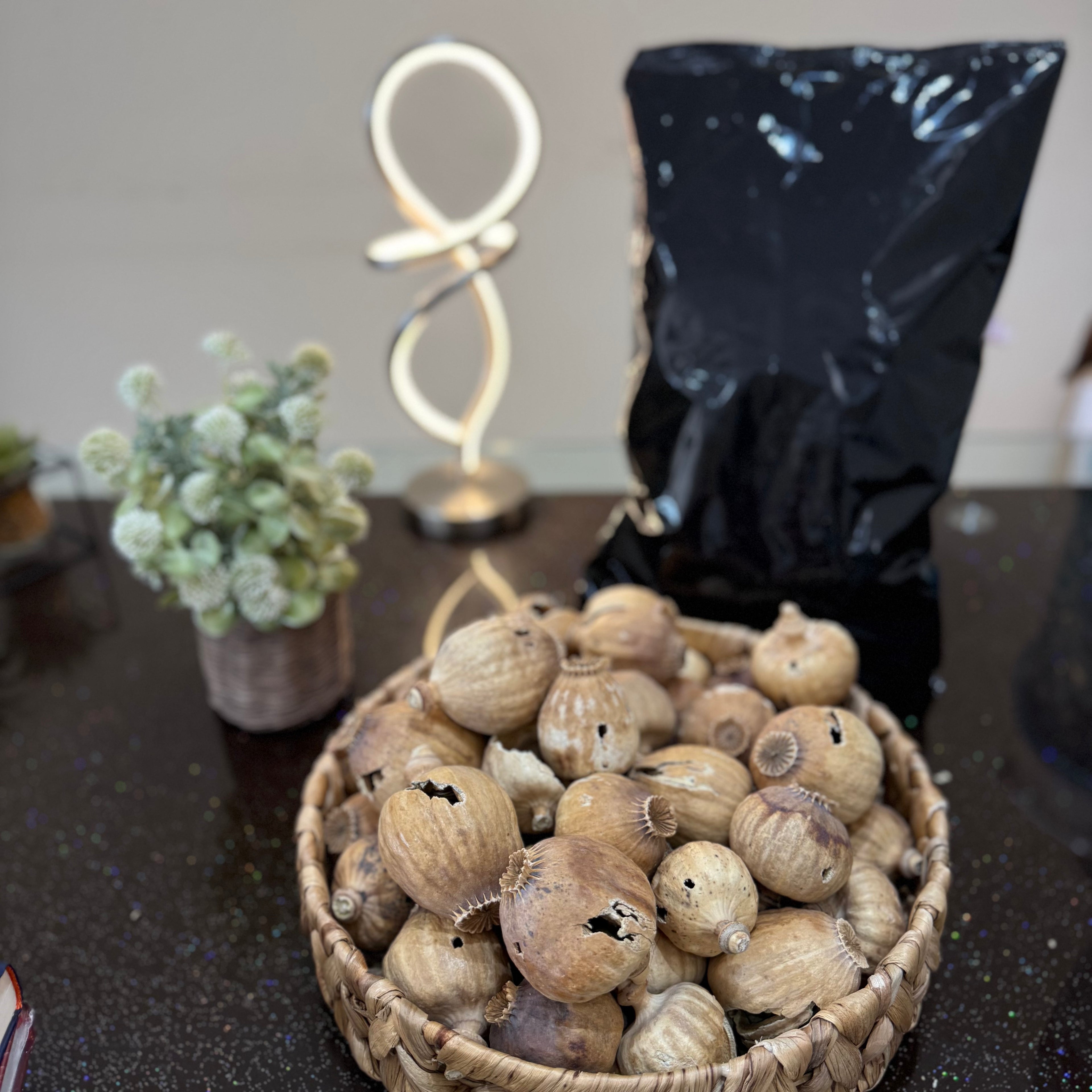 COBRA Austria Dried Poppy Heads(Seedless Pods) Black bags(Big Sizes Poppy Heads)