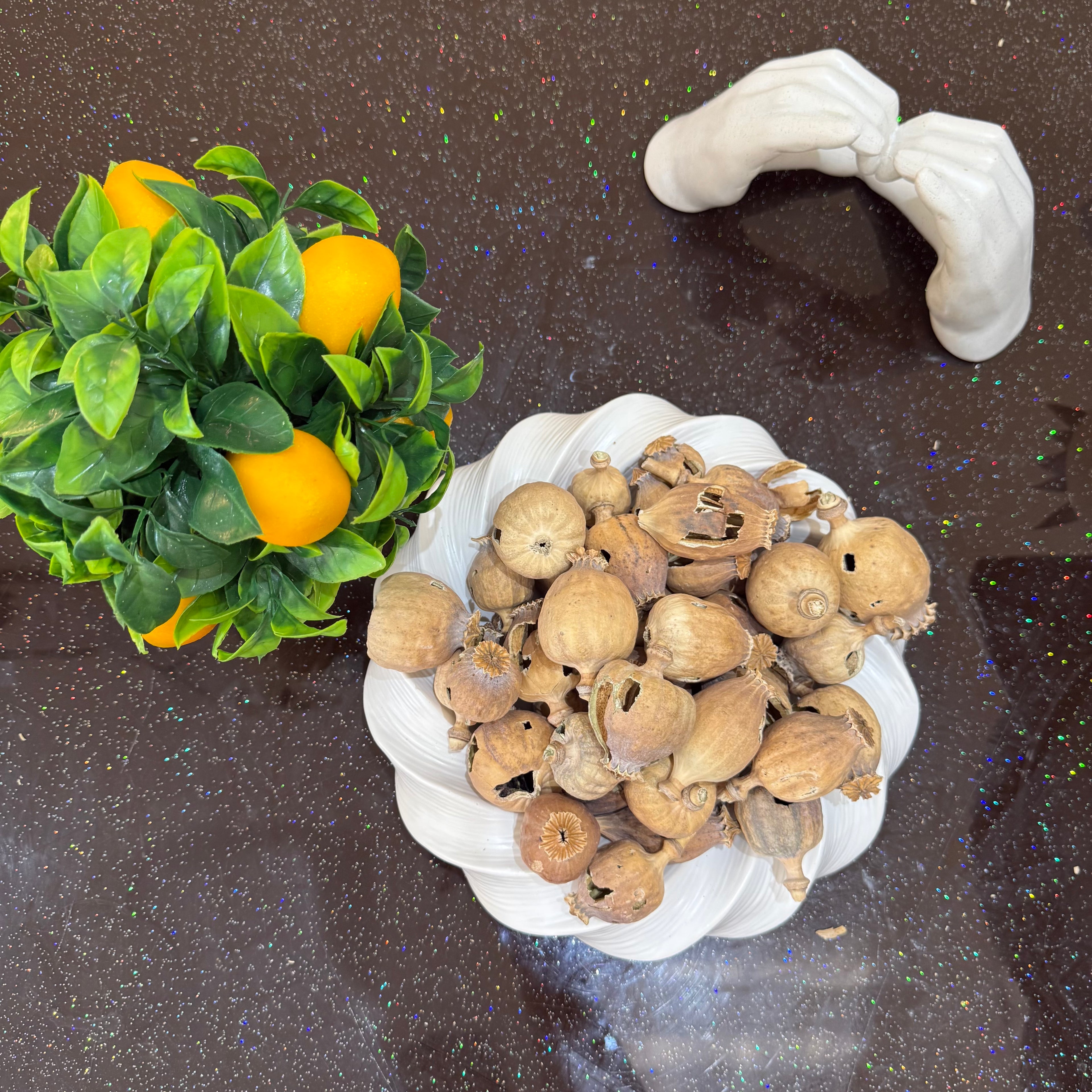COBRA Spain Dried Poppy Heads(Seedless Pods) Black Bag (Small Size poppy Heads)