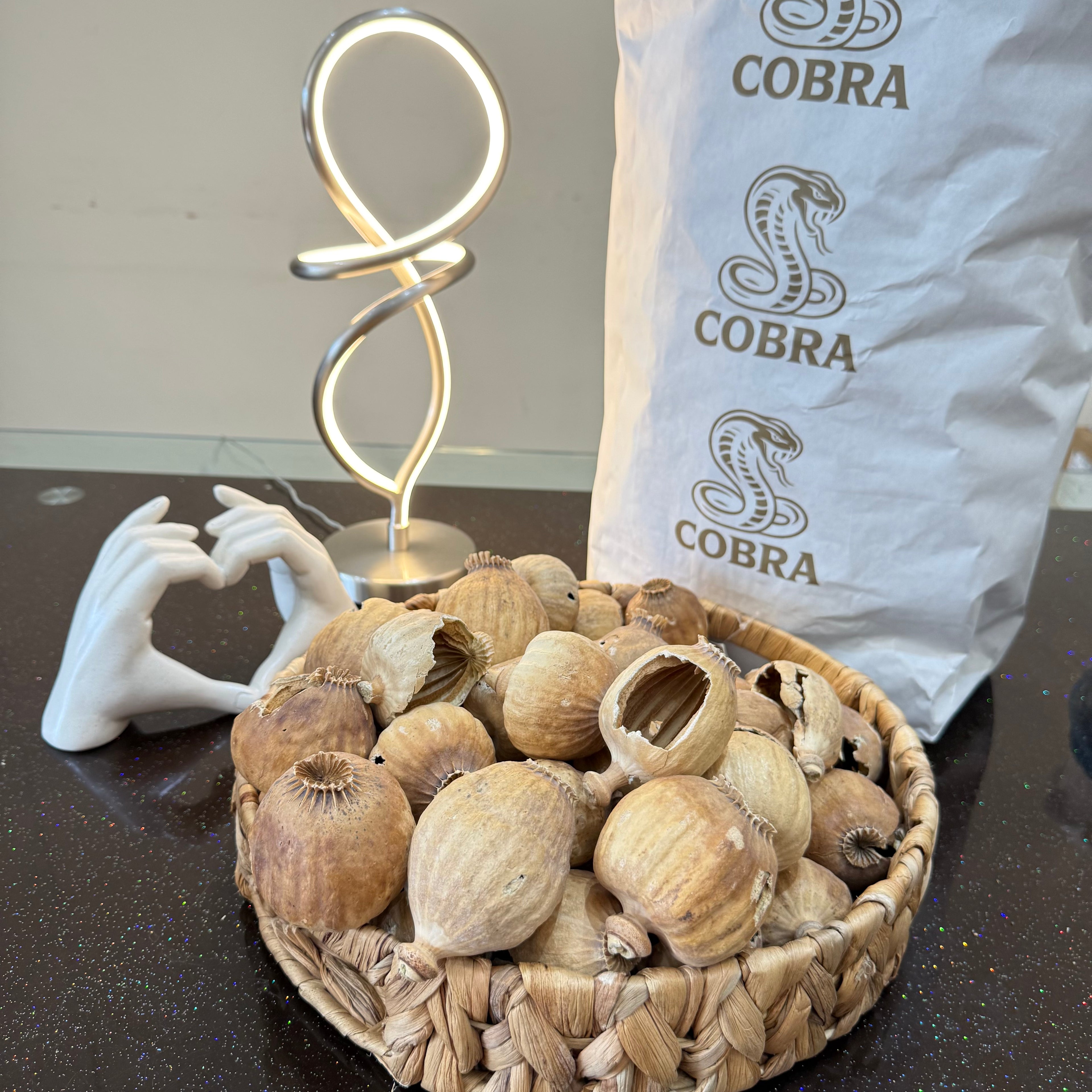 COBRA Austria Dried Poppy Heads(Seedless Pods) White Bag