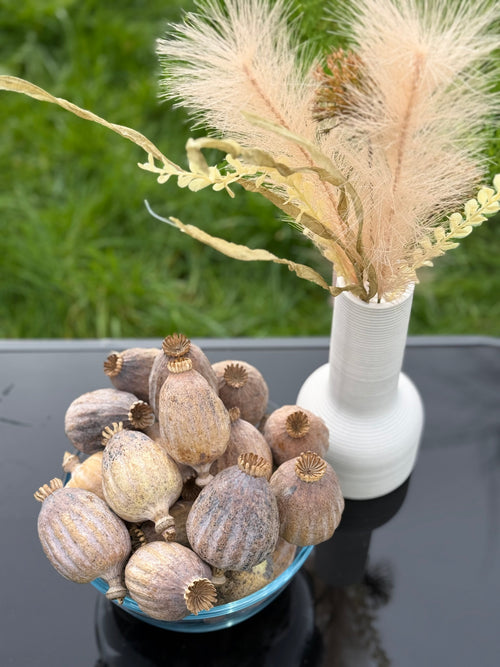 British Dried Poppy Heads (Seeded Pods) XXL