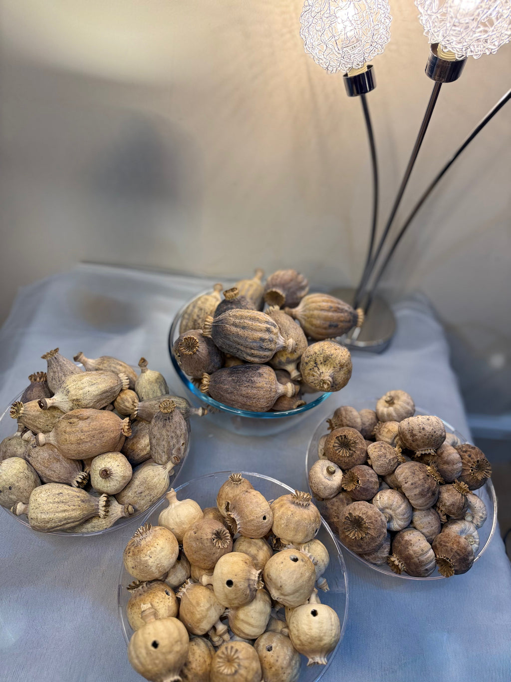 Dried Poppy Pods Starter Pack (Dode) – 1kg Mixed Variety