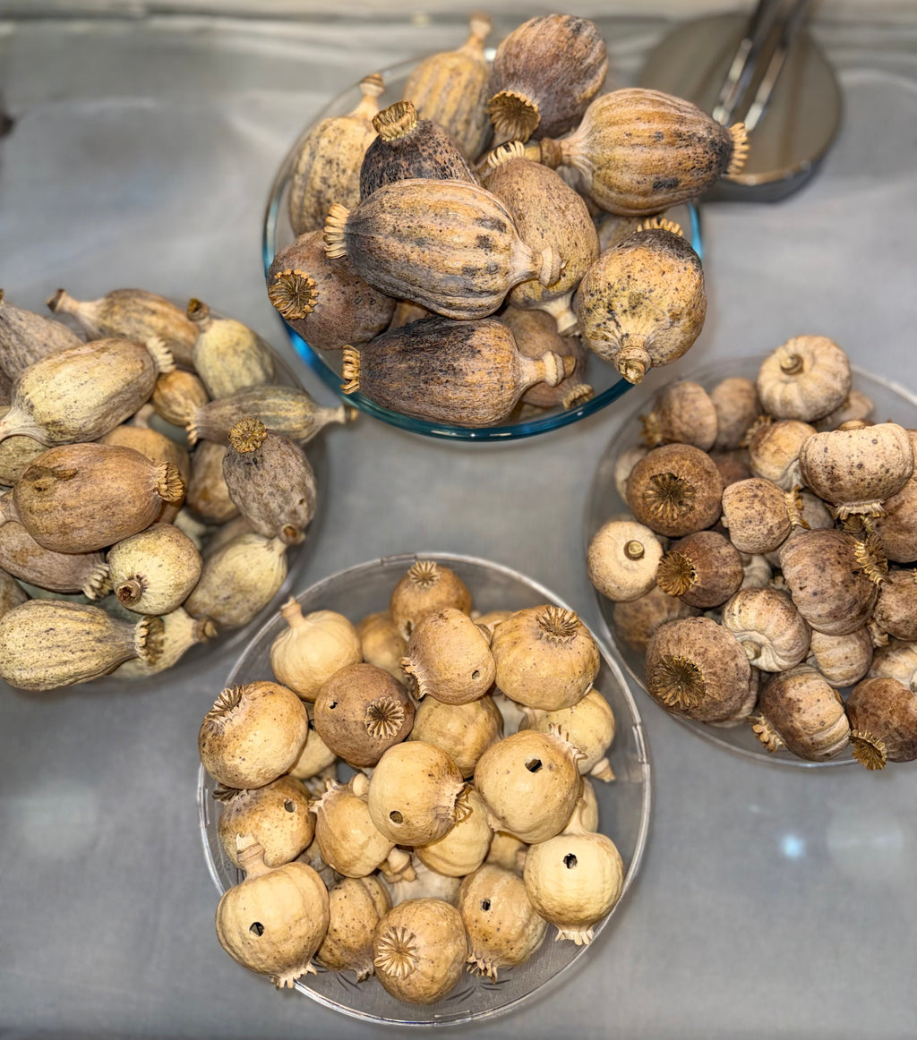 Dried Poppy Pods Starter Pack (Dode) – 1kg Mixed Variety