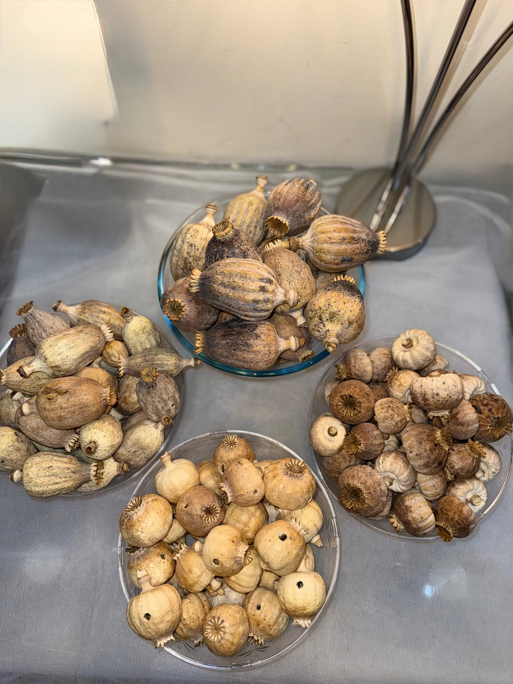 Dried Poppy Pods Starter Pack (Dode) – 1kg Mixed Variety